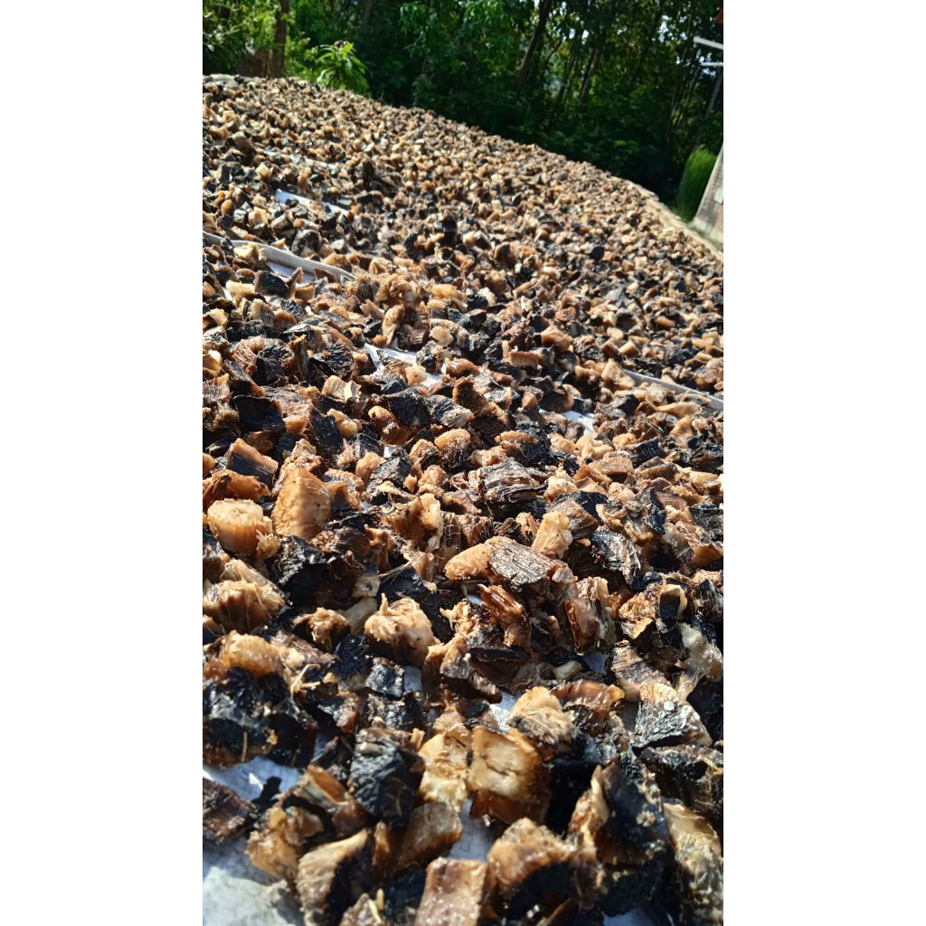 

Forcysn Gatot Singkong Original Potongan Kecil Mantul Menul" Petani Muda 800Gr Makanan Khas Jawa