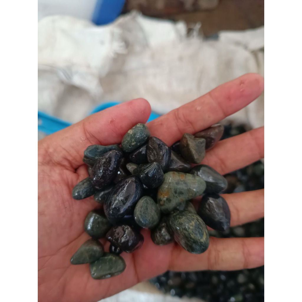 ALOR HITAM / BATU TAMAN / BATU AKUARIUM / BATU HITAM