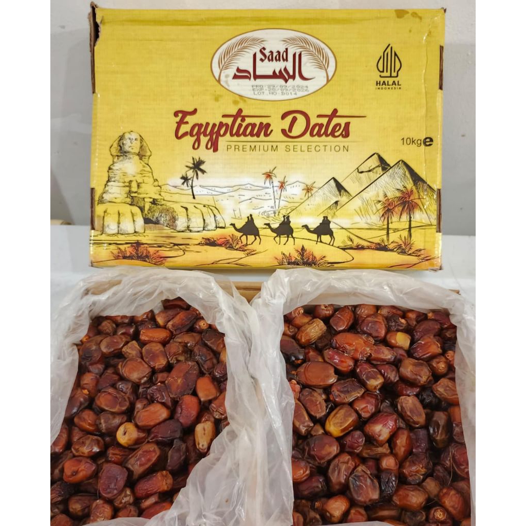 

KURMA MESIR SAAD KILOAN, asli import