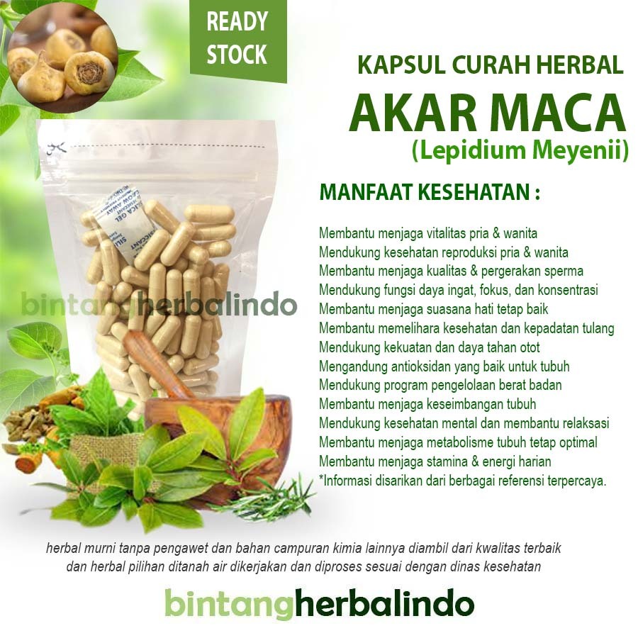 Akar Maca 200 Kapsul Curah Herbal  Suplemen Vitalitas Energi Alami