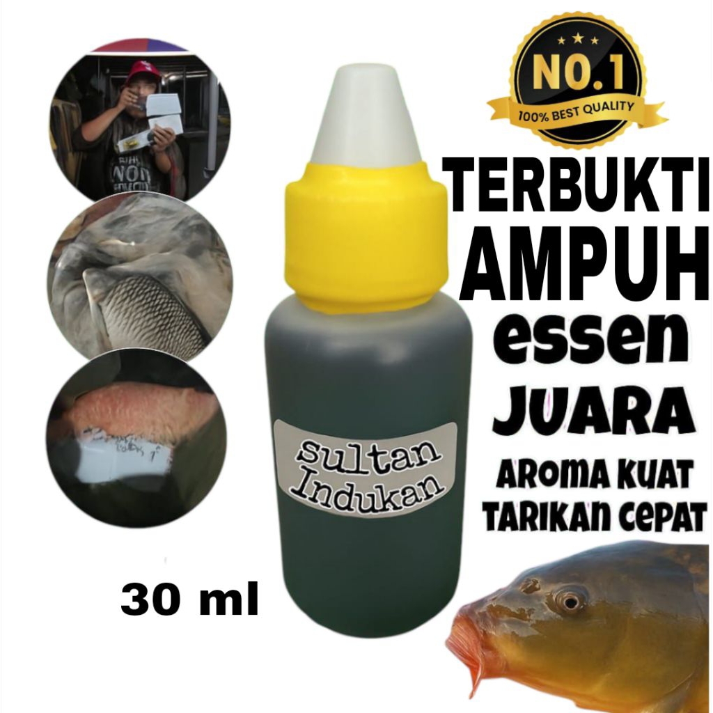 Essen Ikan Mas Sultan Indukan Juara  Essen Lomba Galatama Babon Dan Harian Terbukti Ampuh