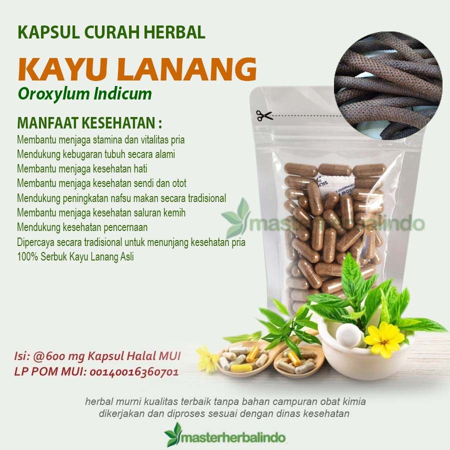 KAYU LANANG 100 Kapsul Curah Bahan Herbal Tradisional