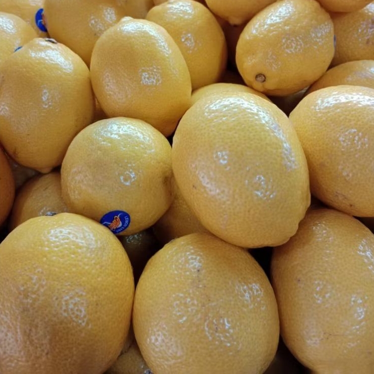 

BUAH LEMON IMPORT AUSTRALIA 1 DUS