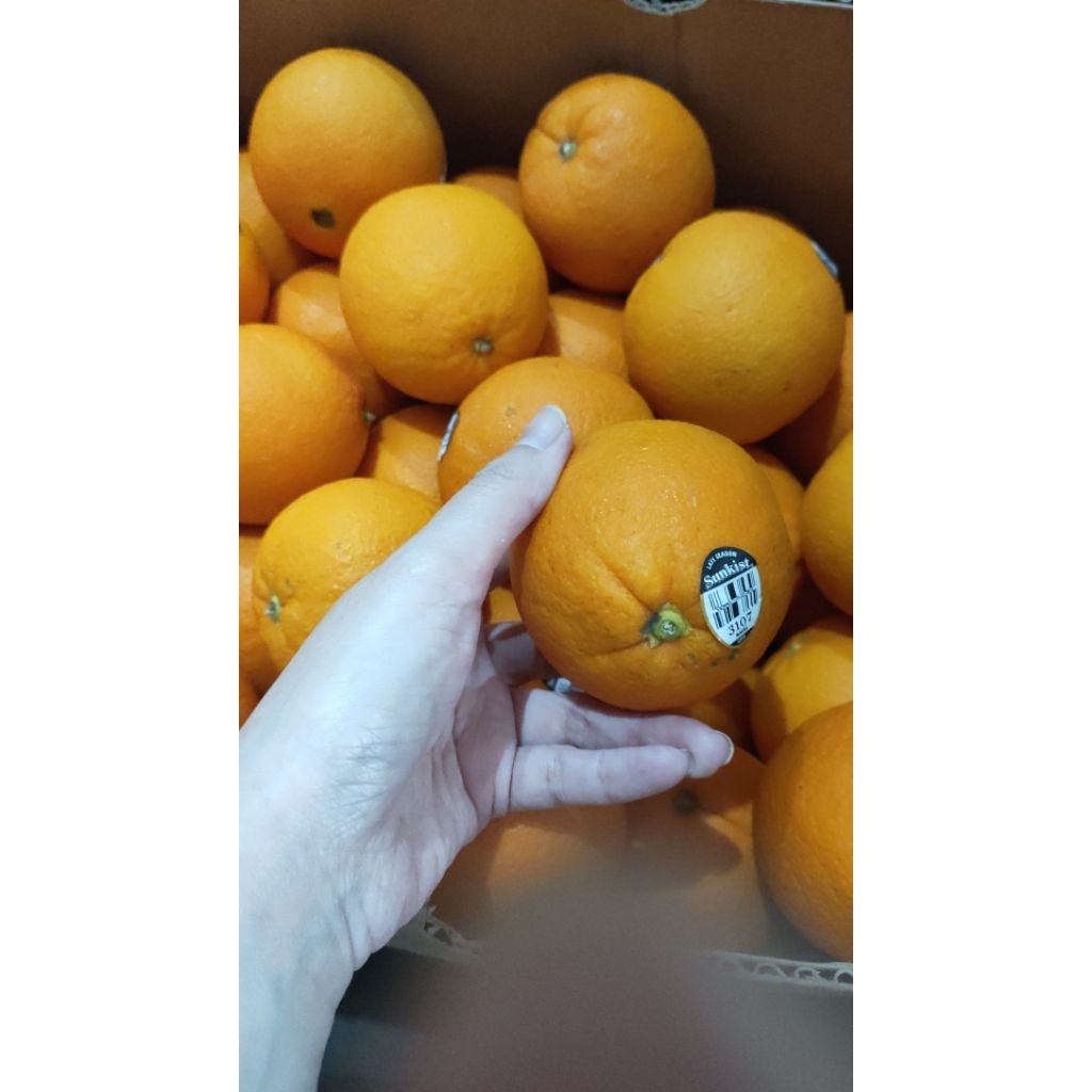 

Sunkist Navel Australi