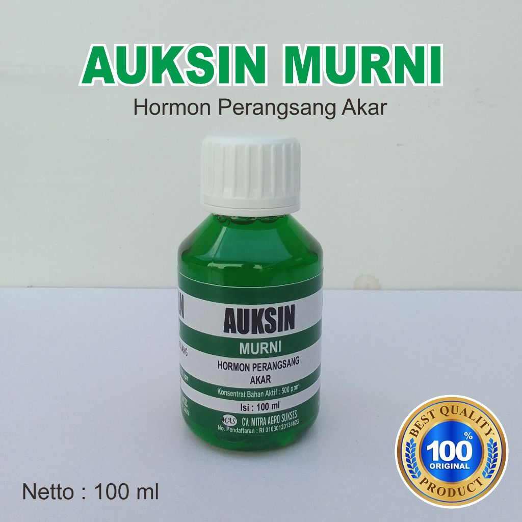 Auksin Murni Hormon Tanaman ZPT Akar