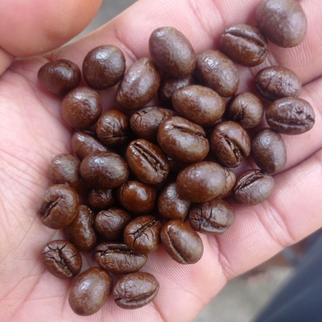 

Robusta Magelang 200 gram