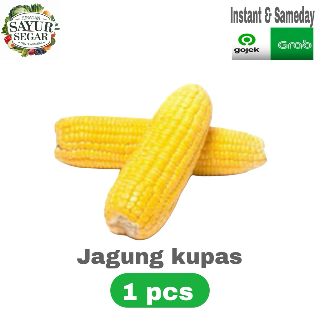 

Jagung kupas tanpa kulit 1 pcs murah instant