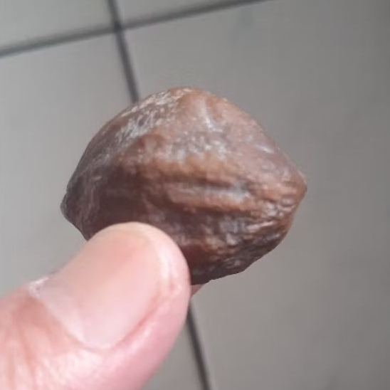 Kemiri Adu Muncang Adu Jalim Jawa Ori Pasangan Mewah