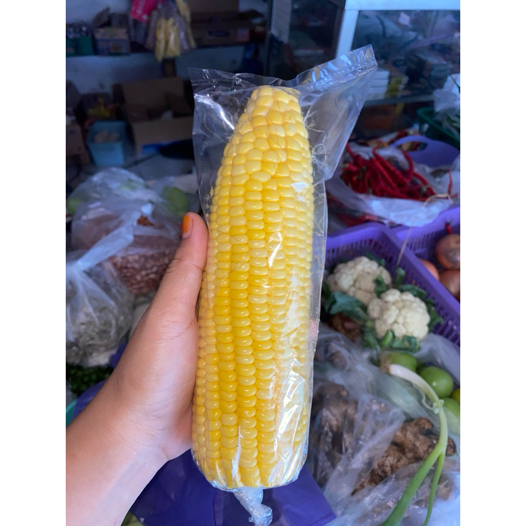 

Jagung Manis