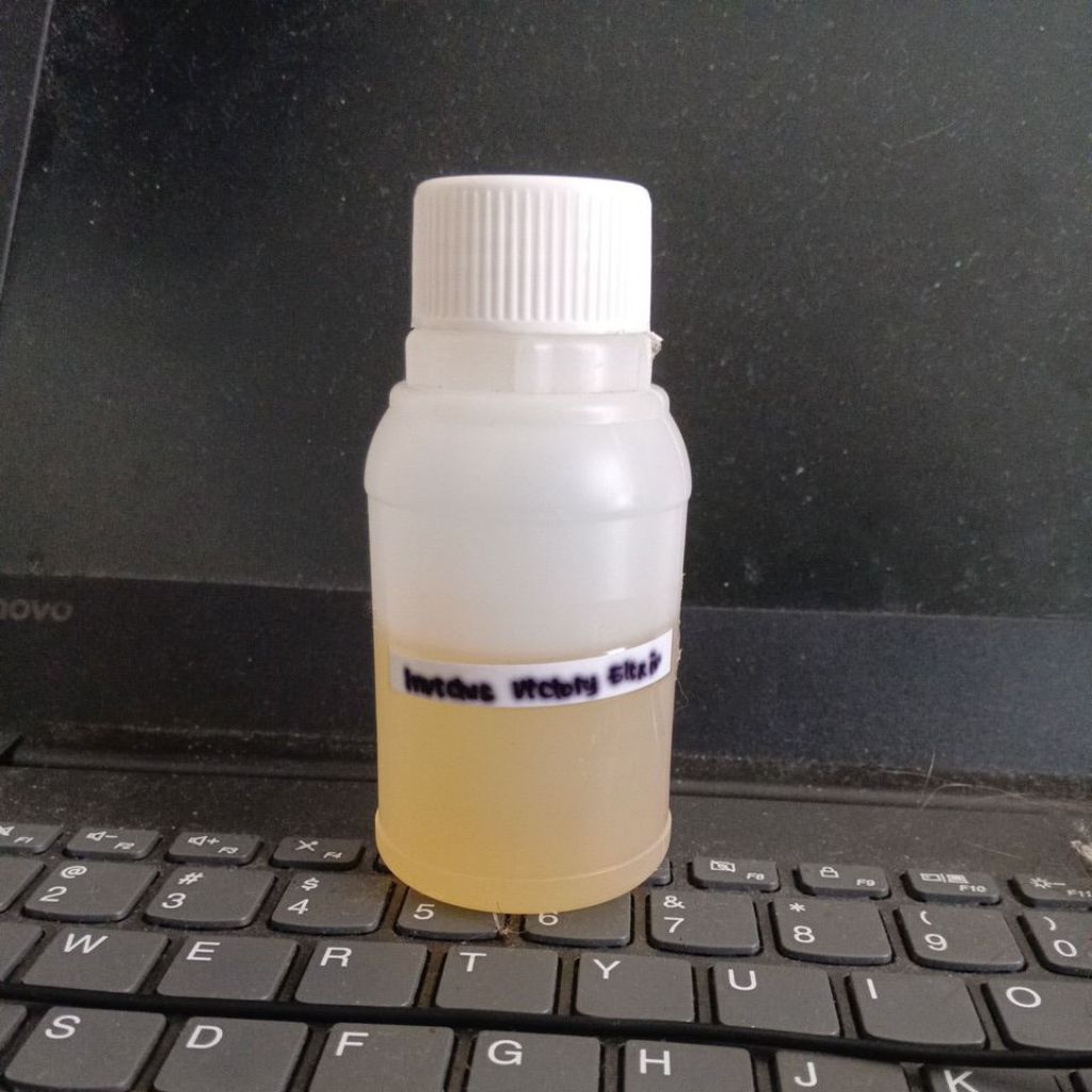 bibit Invictus victory elixir by tecnicoflor