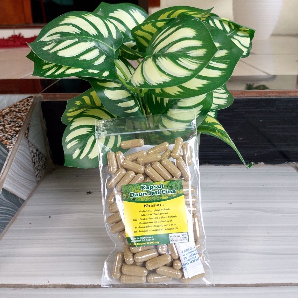 

Kapsul isi Daun Jati Cina Kemasan isi 100 pcs