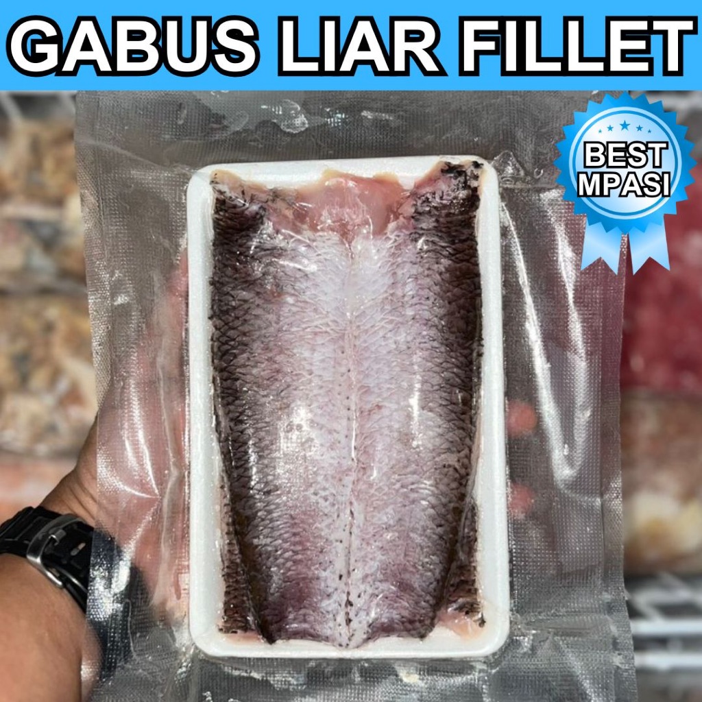 

GABUS LIAR FILLET PREMIUM