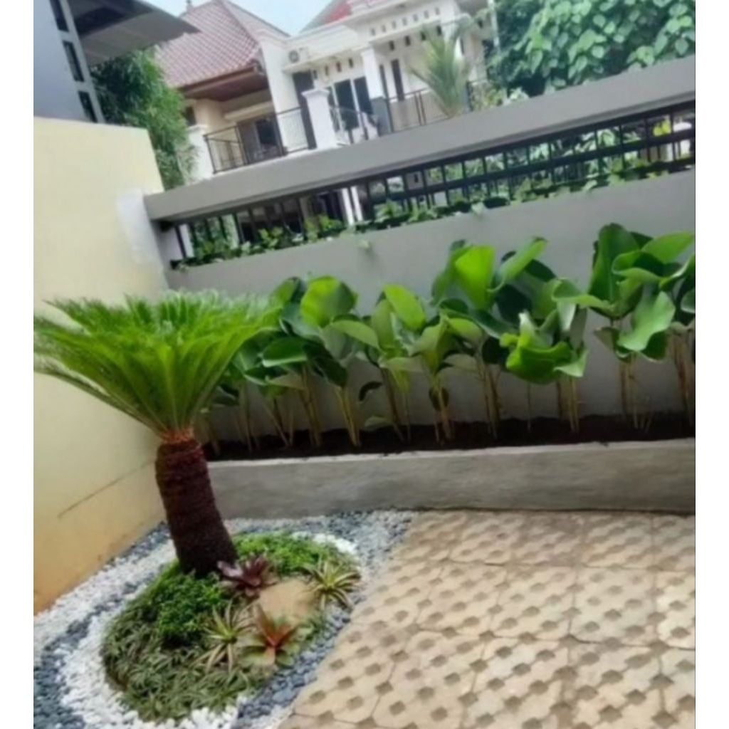 jasa taman kering minimalis