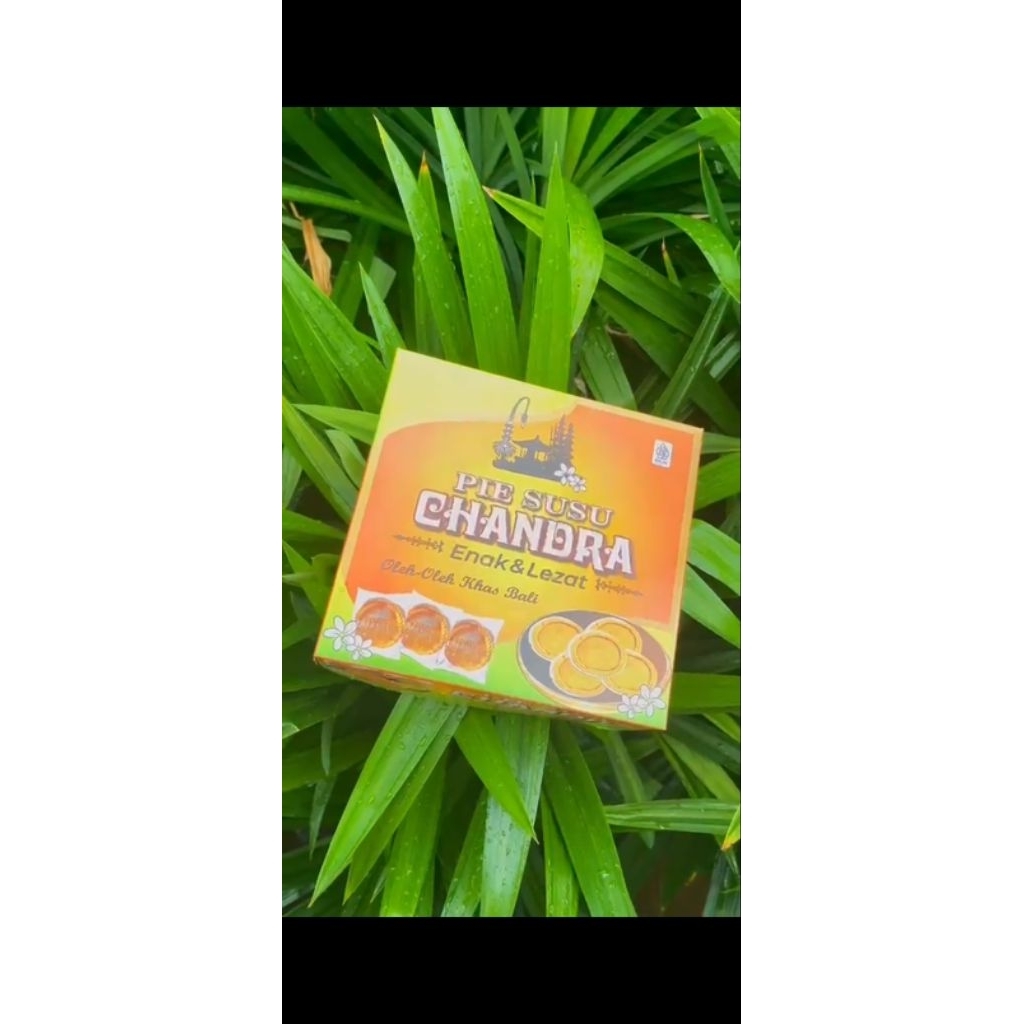 

pie susu candra isi 50 pcs