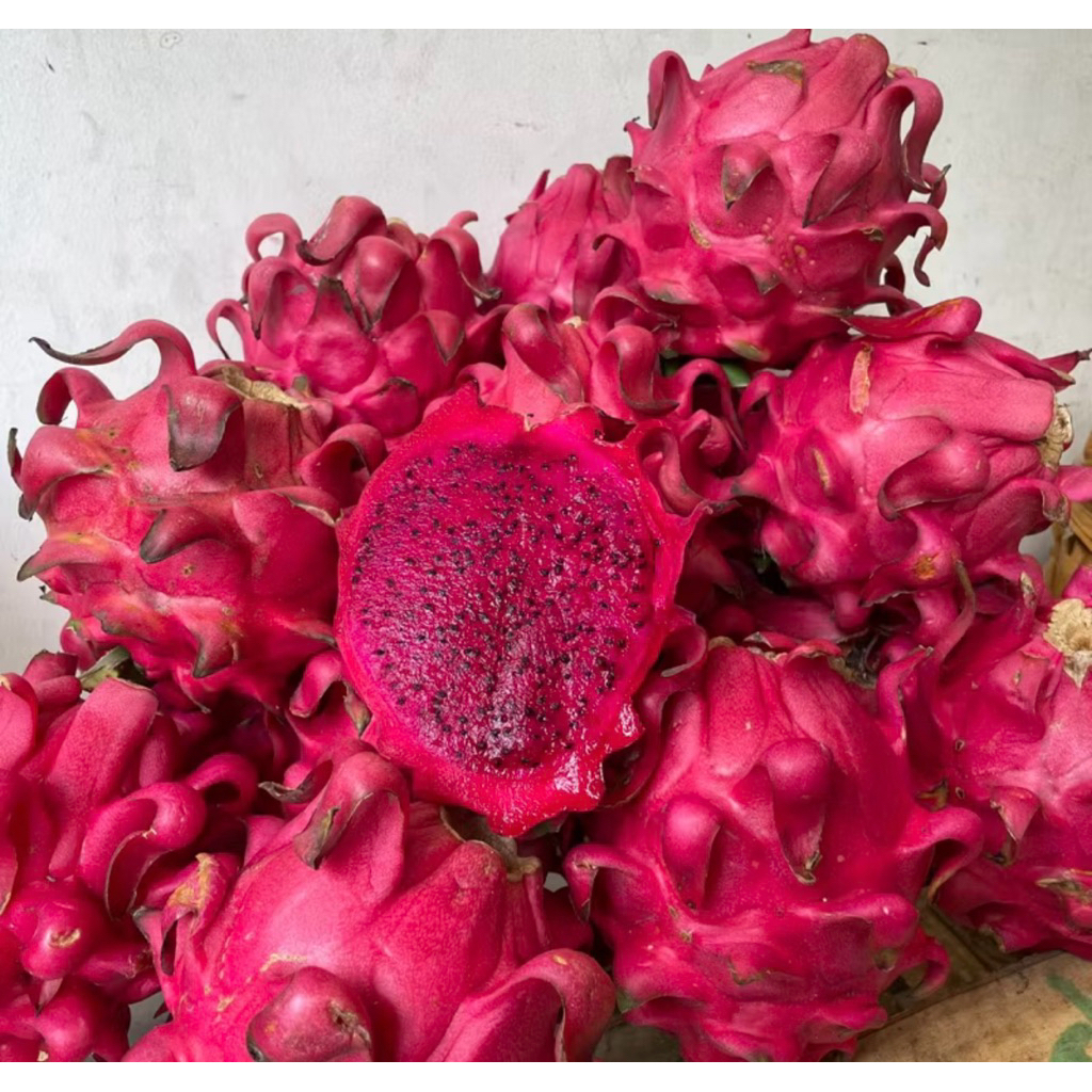 

Buah Naga Merah Super Fresh Sweet 1 Kg