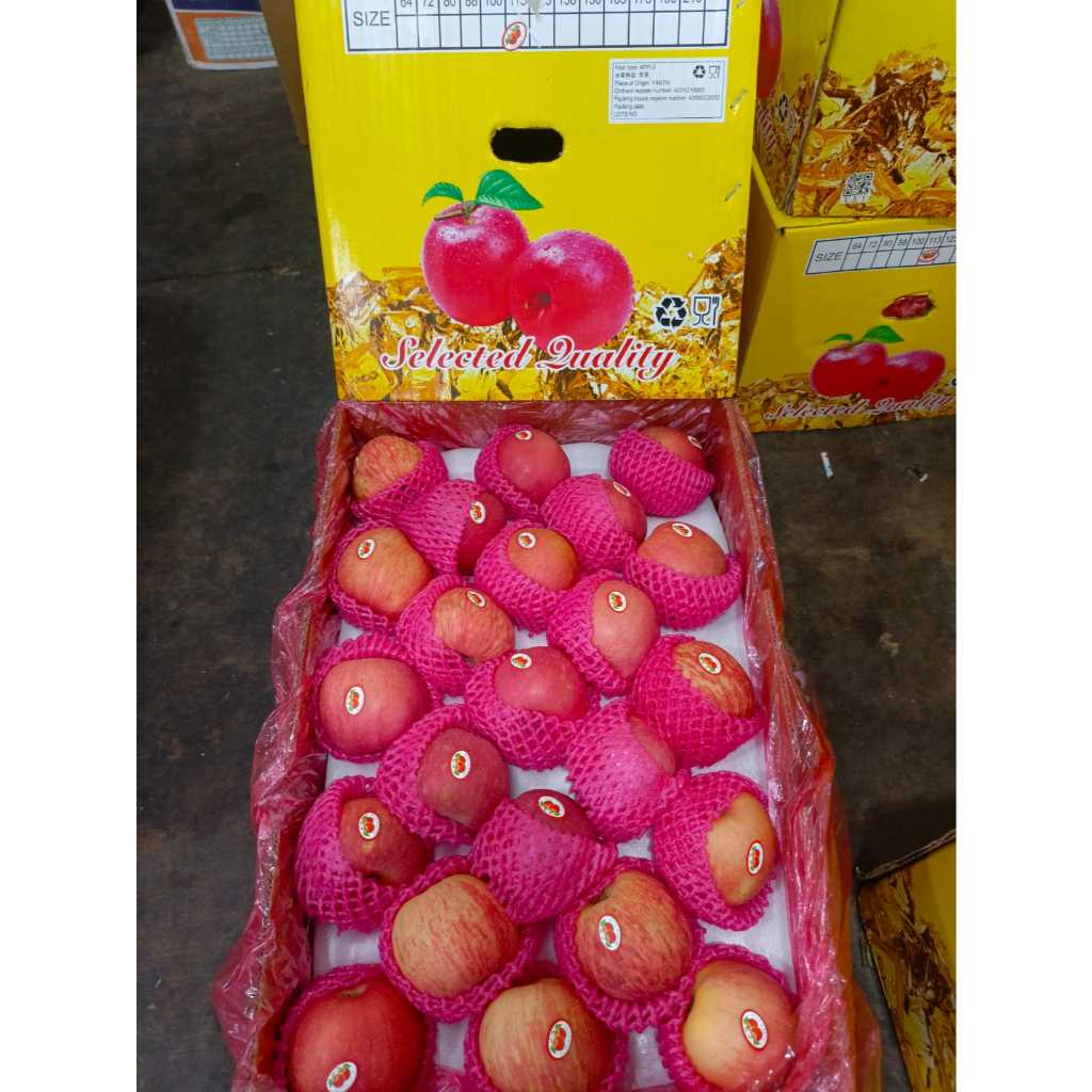 

Apel Fuji garing kriuk