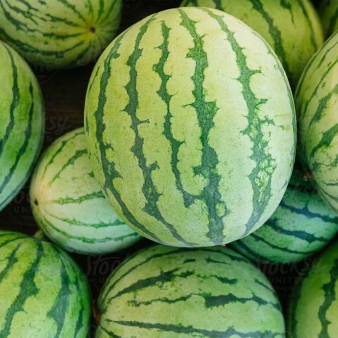 

SEMANGKA MERAH FRESH&MANIS