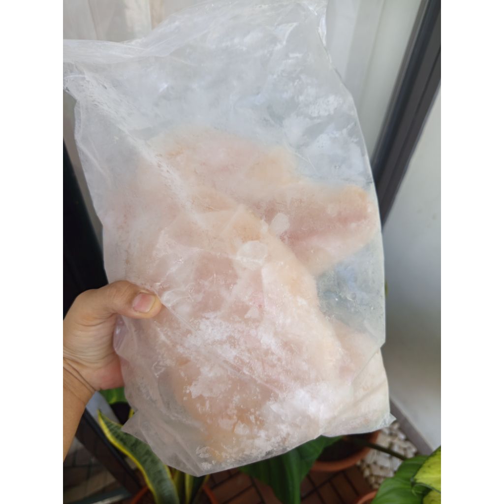 

Ikan Dori fillet 1kg