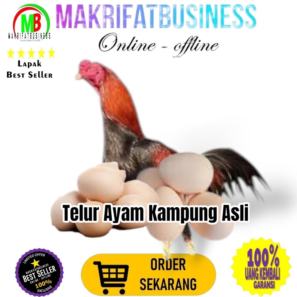 

MAKRIFATBUSINESS Paket 1 Pcs Size Kecil TELUR AYAM KAMPUNG ASLI Untuk Konsumsi Jamu Kesehatan Makanan Protein Gizi Tinggi
