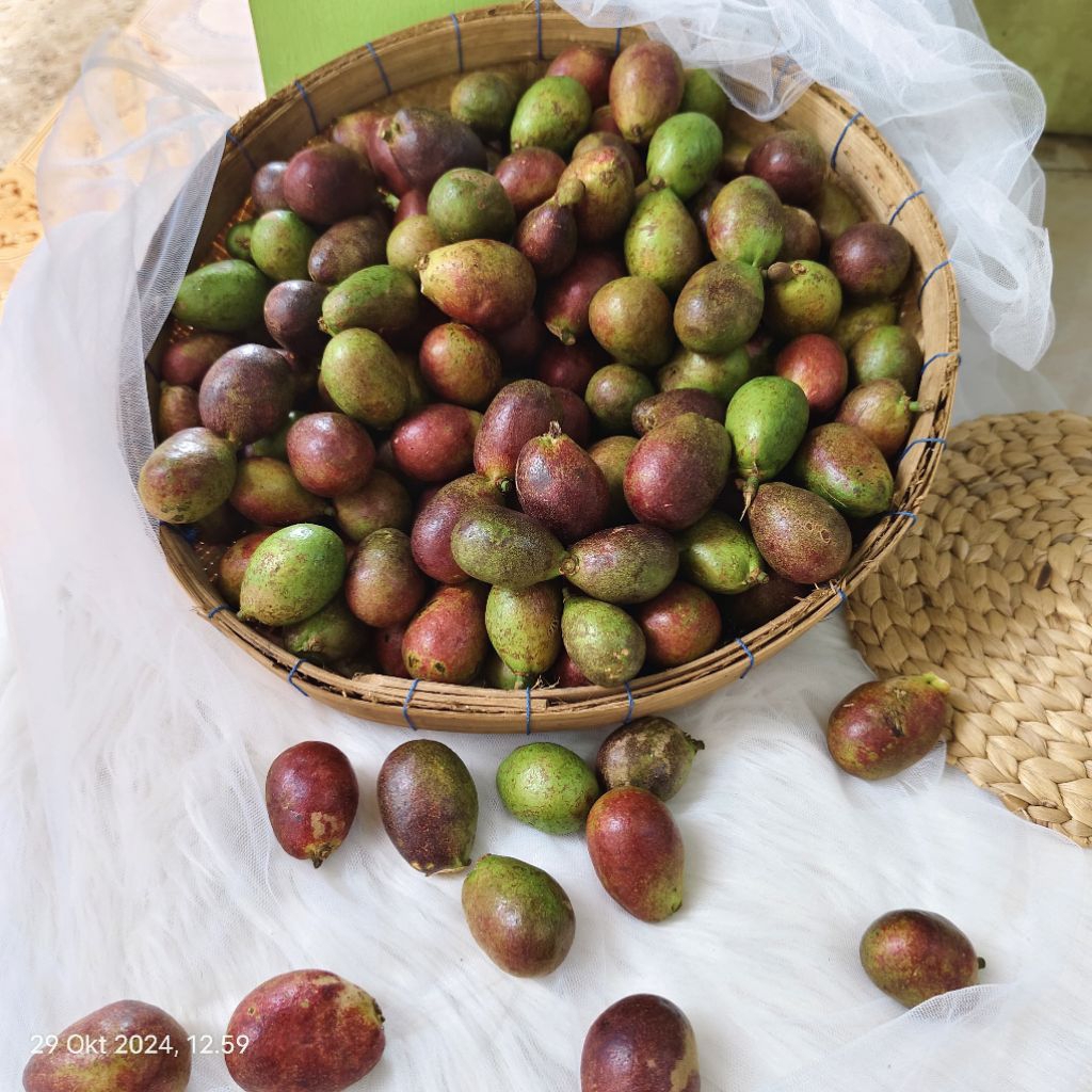 

MATOA SUPER KHAS PATI 500G DAN 1KG MERAH KUNING HIJAU