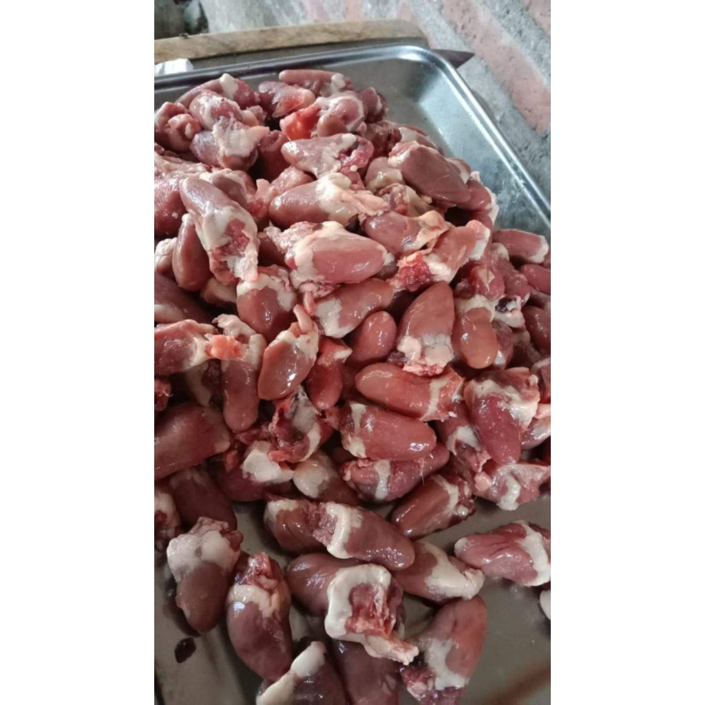 

jantung ayam
