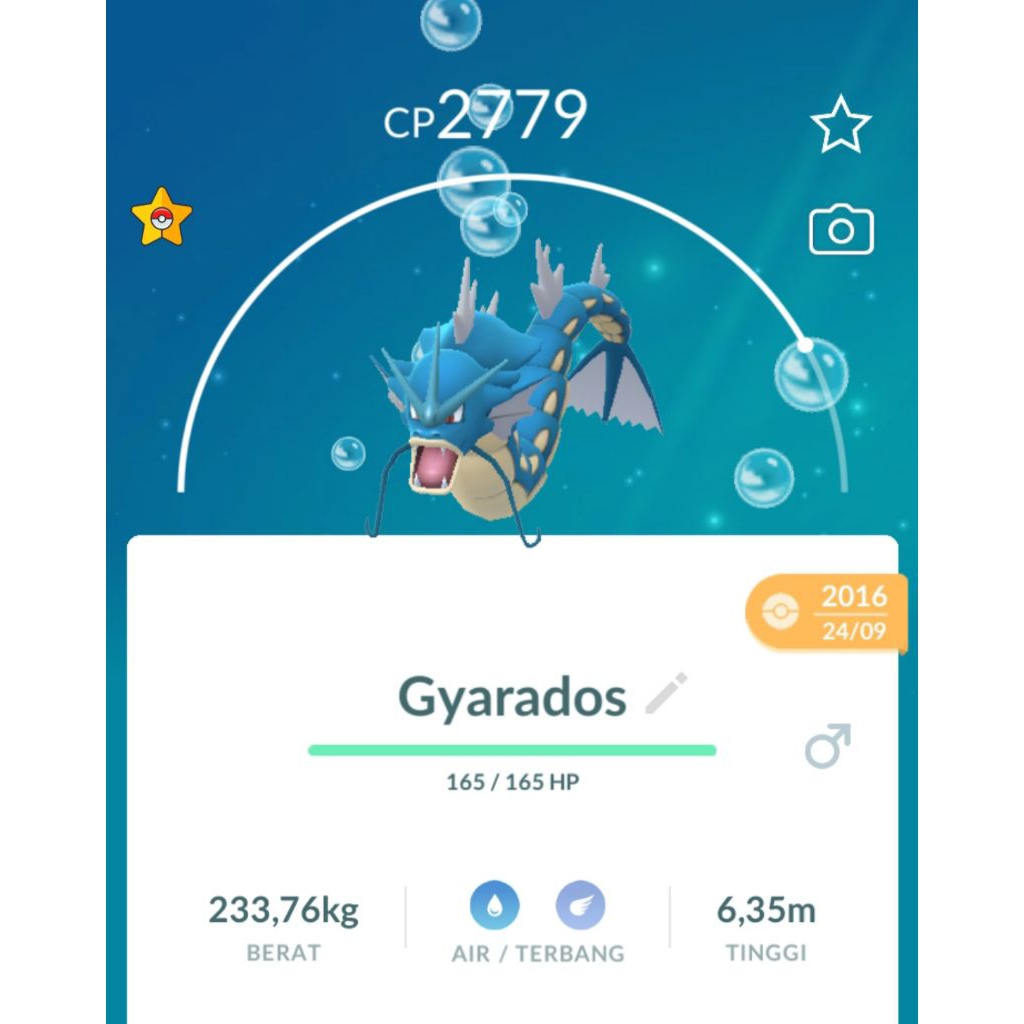 Gyarados 2016