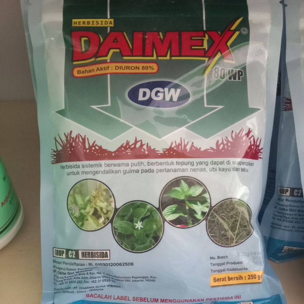 Daimex 80WP