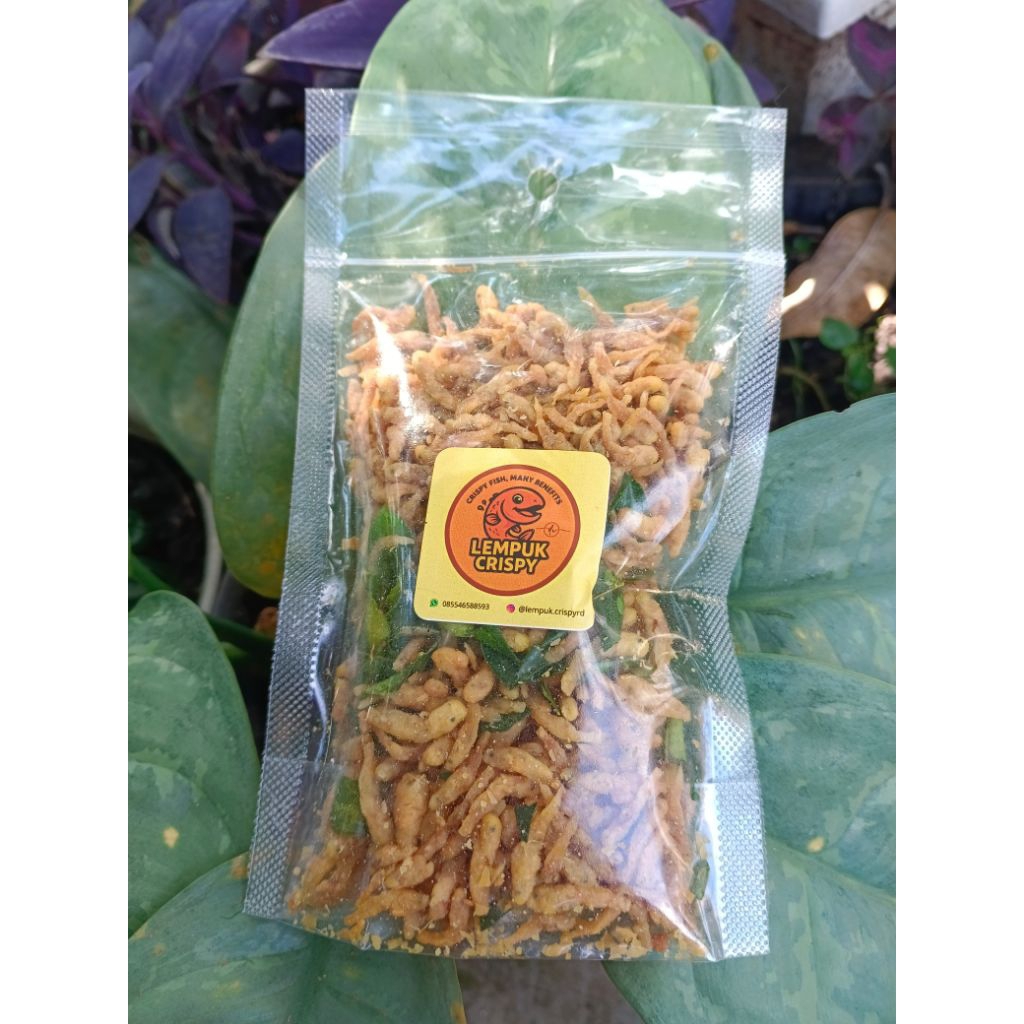 

LEMPUK CRISPY OFFICIAL DAUN JERUK 100 GRAM