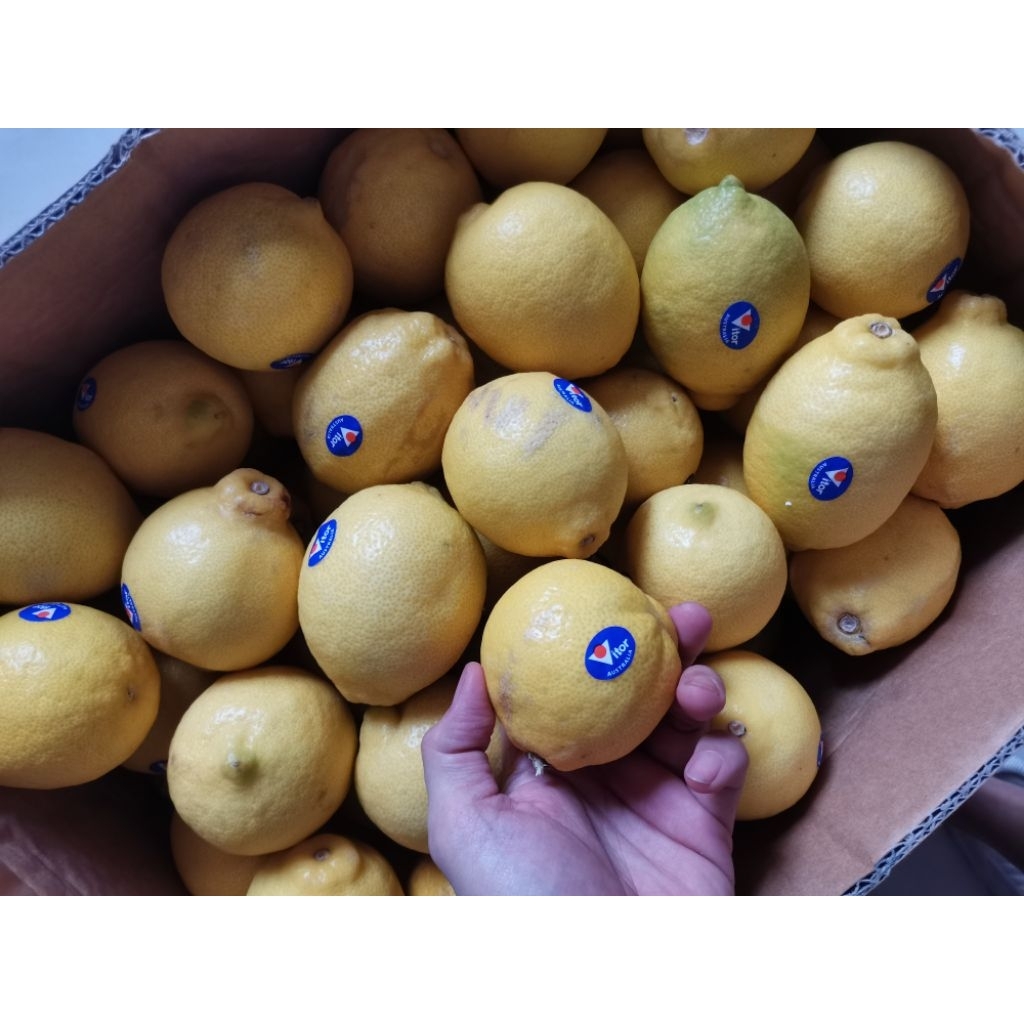 

RB Lemon Import - Lemon Permen - Lemon 1KG