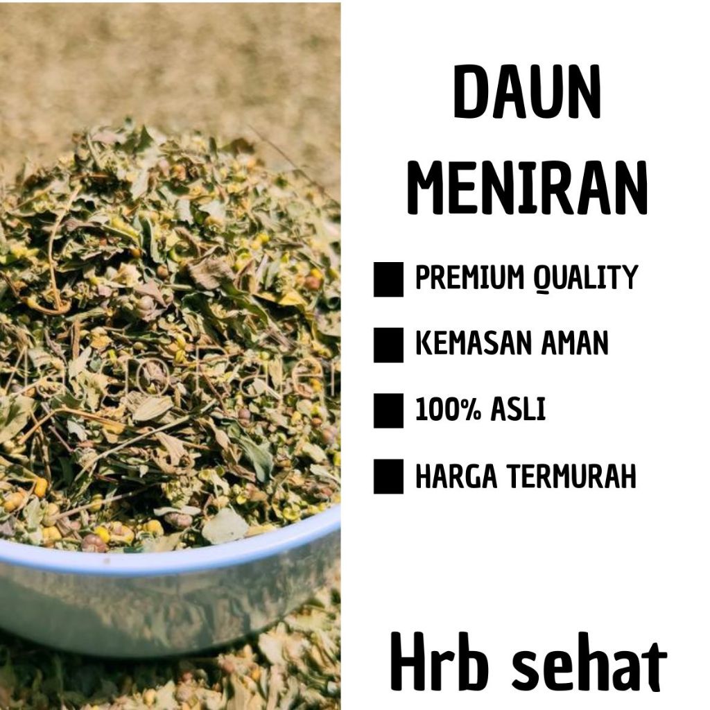 

Daun Meniran Kering Obat Ginjal Asam Urat Lambung Peningkat Imun