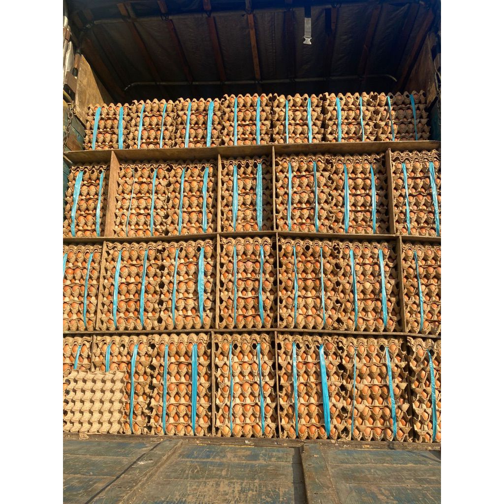 

Telur ayam 1 - 5 kg fresh tahan lama