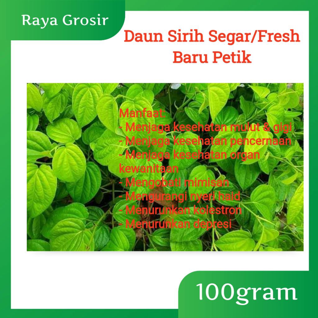 

Daun Sirih Segar Alami Fresh Bantu Menjaga dan Merawat Organ Kewanitaan