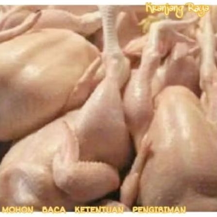

Ayam Negeri per ekor