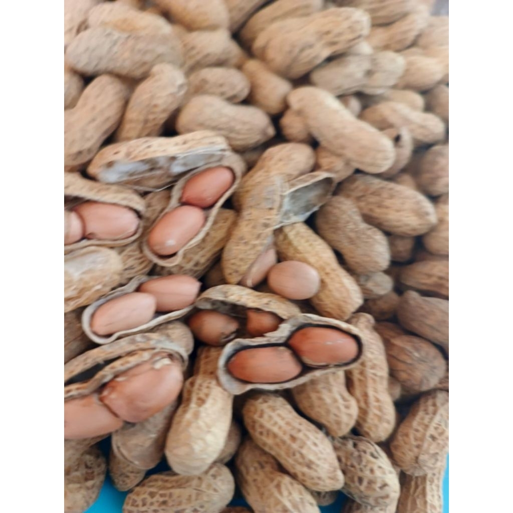 

kacang tanah kulit gurih renyah original kacangnya