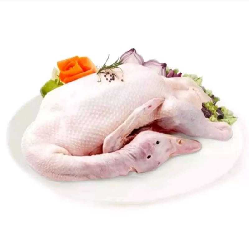

DAGING BEBEK PEKING 2.8 KG UTUH PAKAI KEPALA KAKI