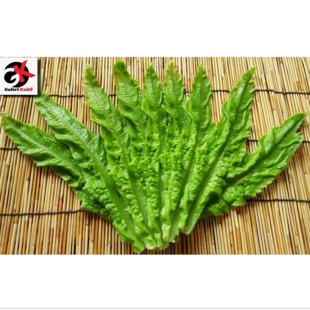 

Sayur Siomak Segar Berkualitas Grade A _ 250gr