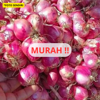 

BAWANG MERAH MURAH! WANGI BAWANG BATU