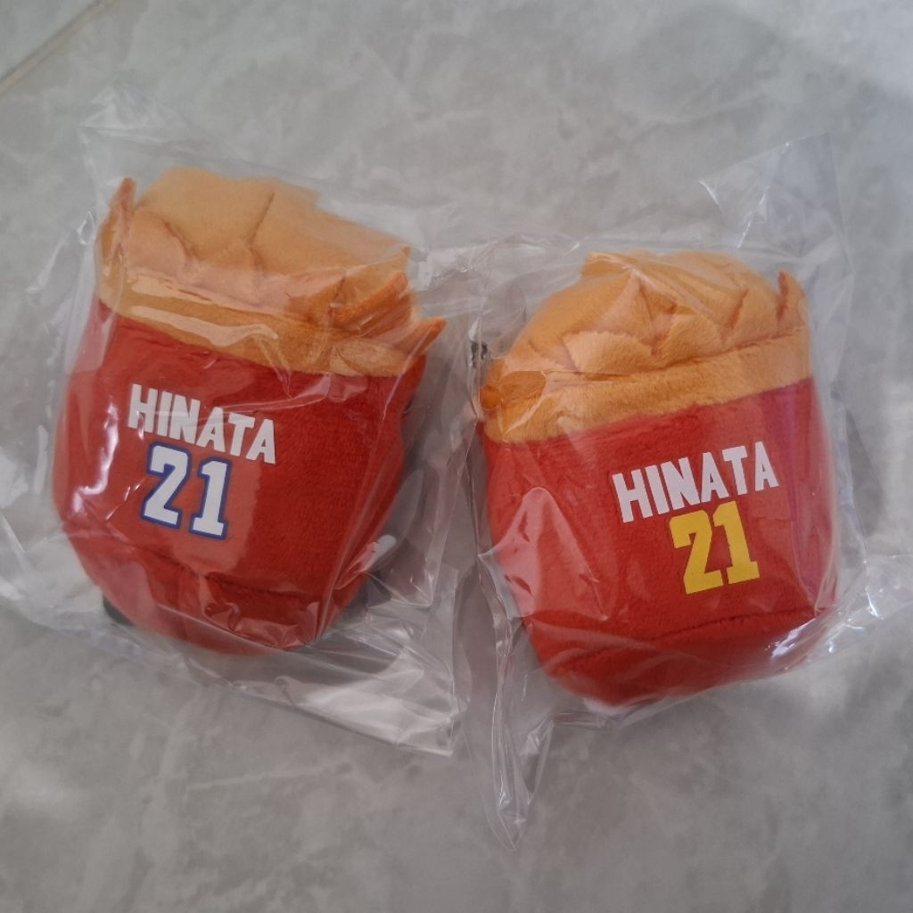 Noru Haikyuu Hinata Shoyo 10th Anniversary