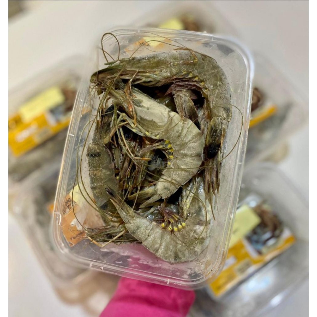 

UDANG WINDU 500GRAM