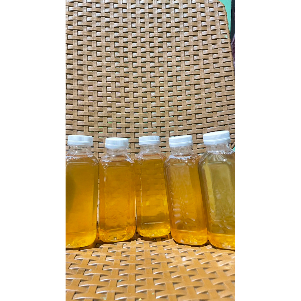 

Minuman Kombucha Probiotik