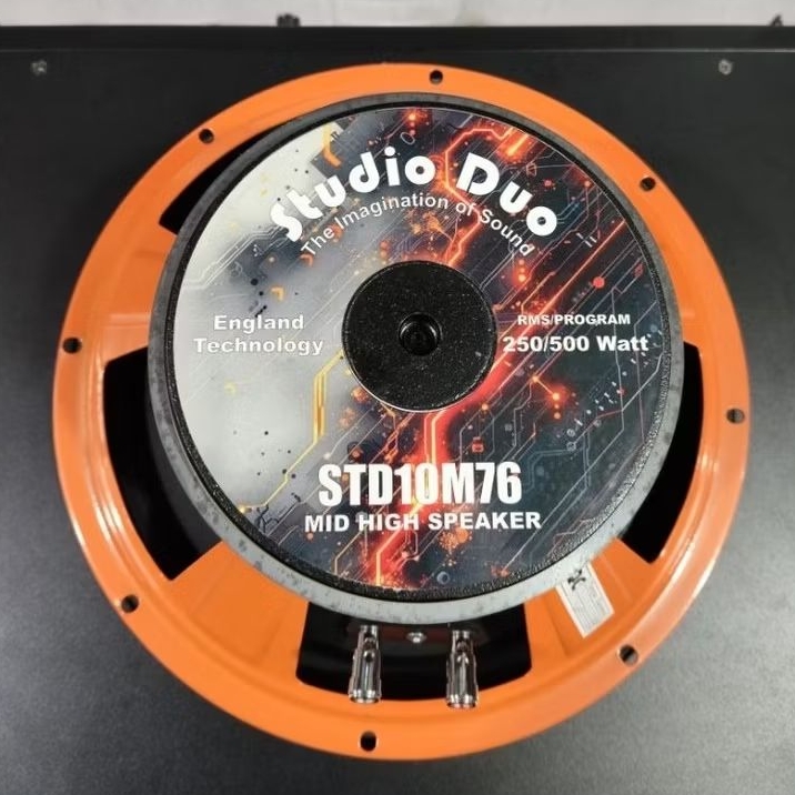 speaker 10 inch studio duo 10M76 mid and High