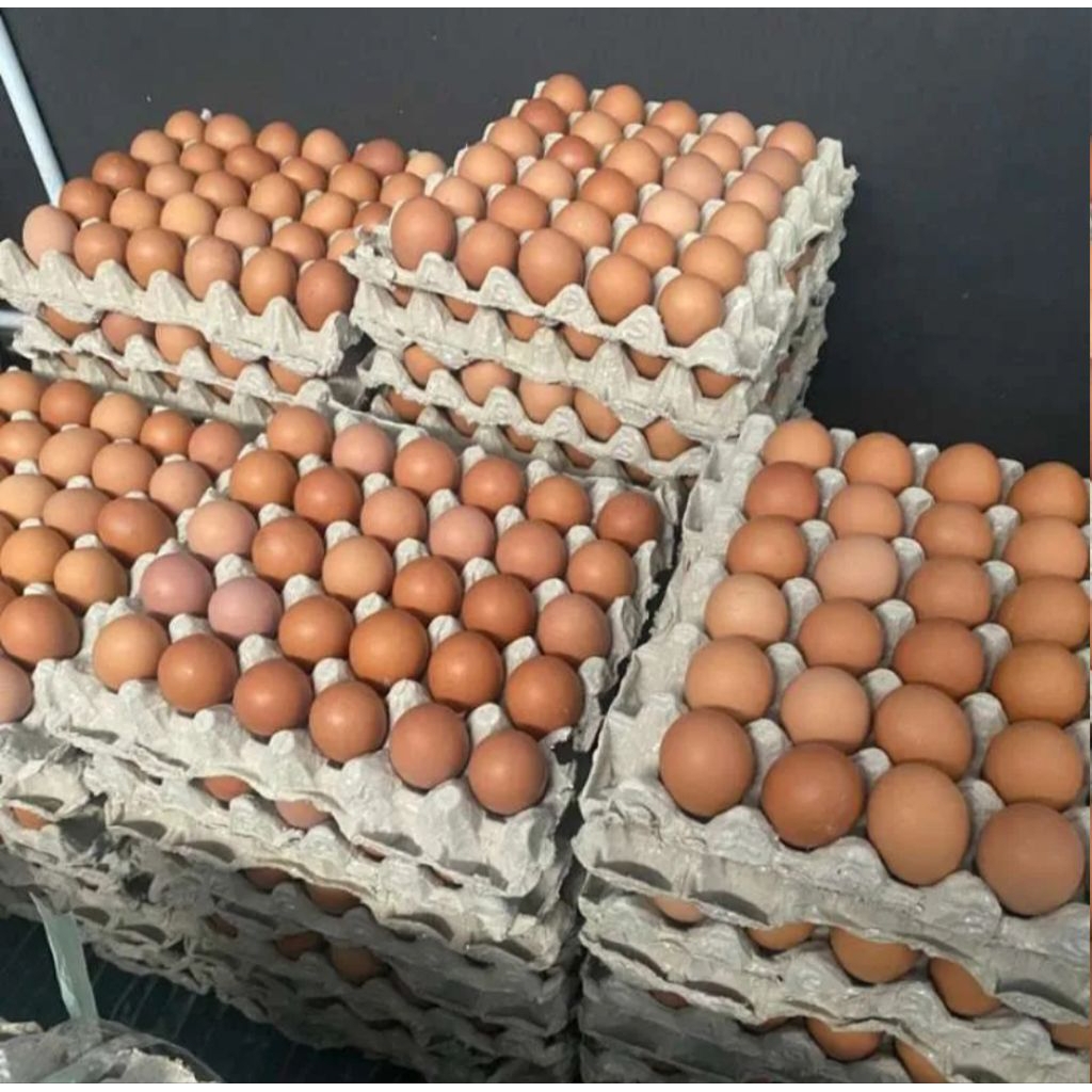 

telur ayam segar 1 pireng isi 30 biji garansi 3 hari