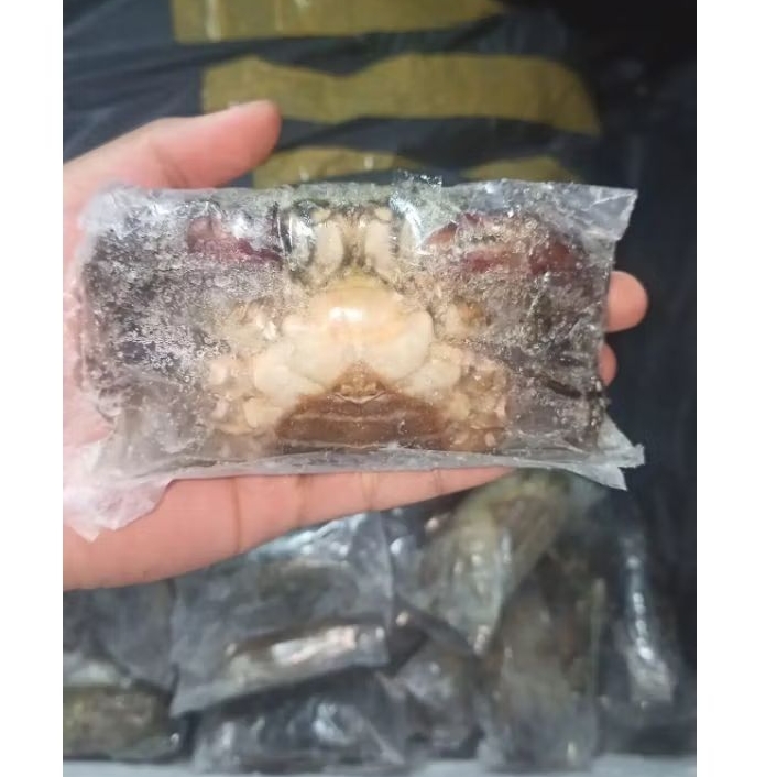 

kepiting Soka Segar Kepiting Soka fresh Kepiting Hasil laut segar