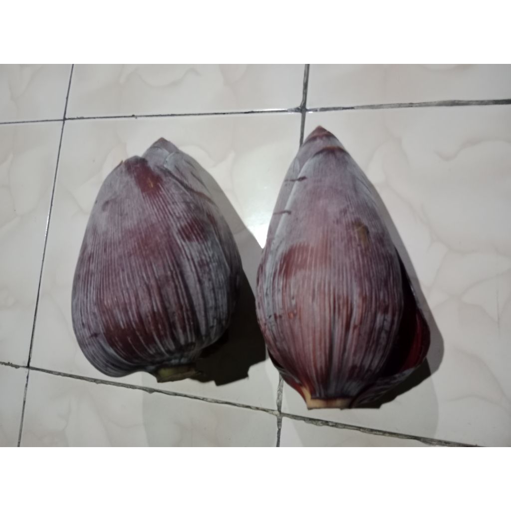 

JANTUNG PISANG FRESH