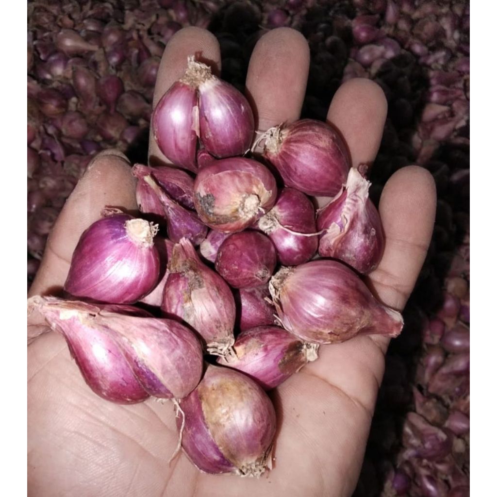 

Bawang merah bawang putih