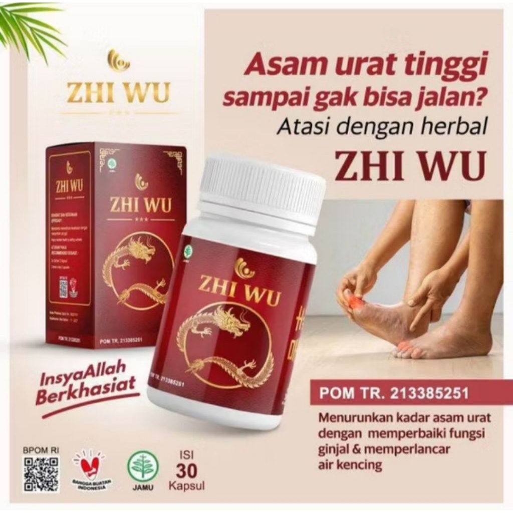 ZHI WU OBAT HERBAL CINA ( 2 paket isi 30 kapsul ) solusi untuk tulang dan sendi