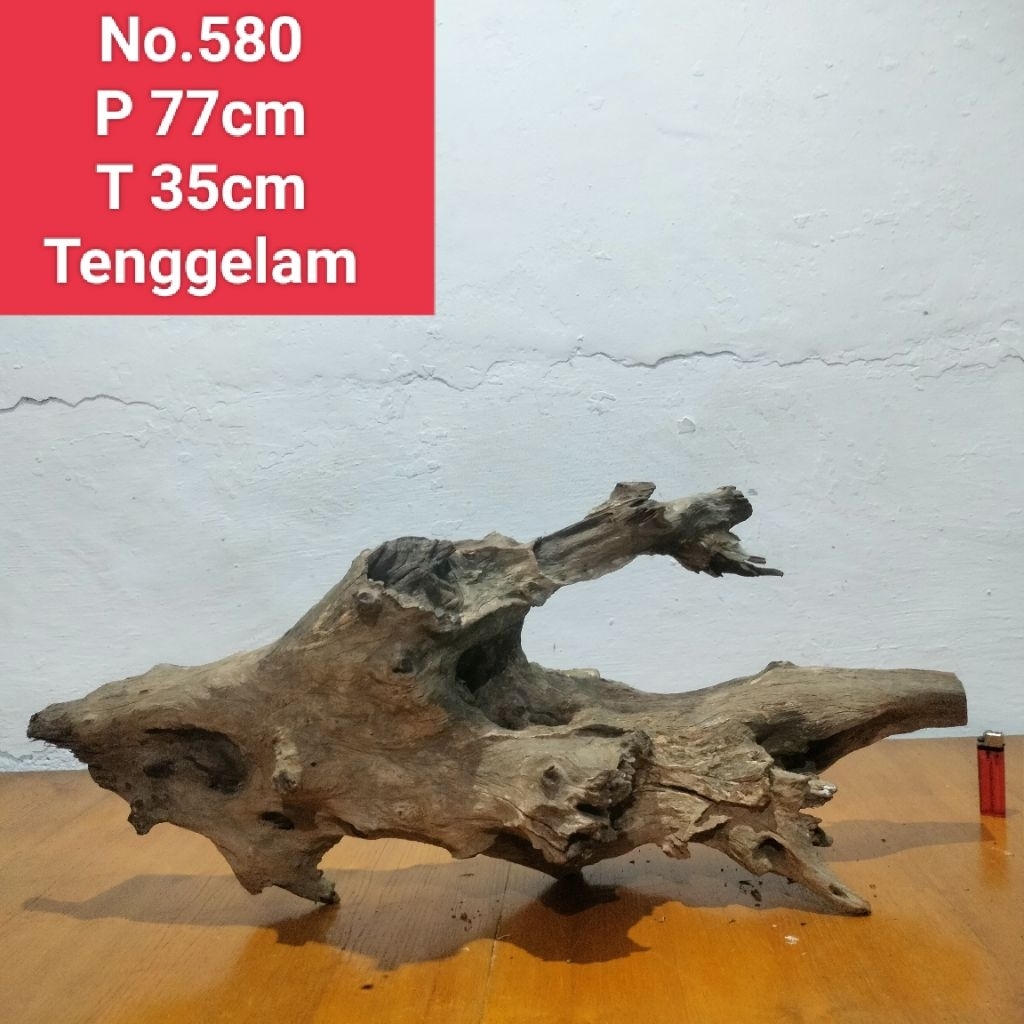 akar aquascape aquarium santigi laut bonggol akar santigi 580