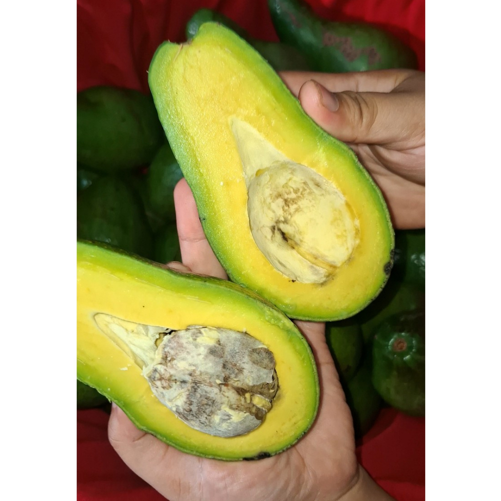 

Alpukat Mentega | 500grm