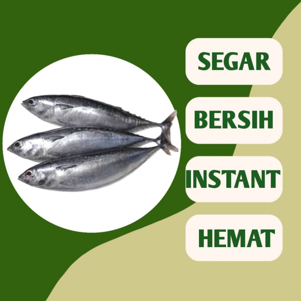 

IKAN TONGKOL SEGAR DAN BERSIH - INSTANT PALEMBANG