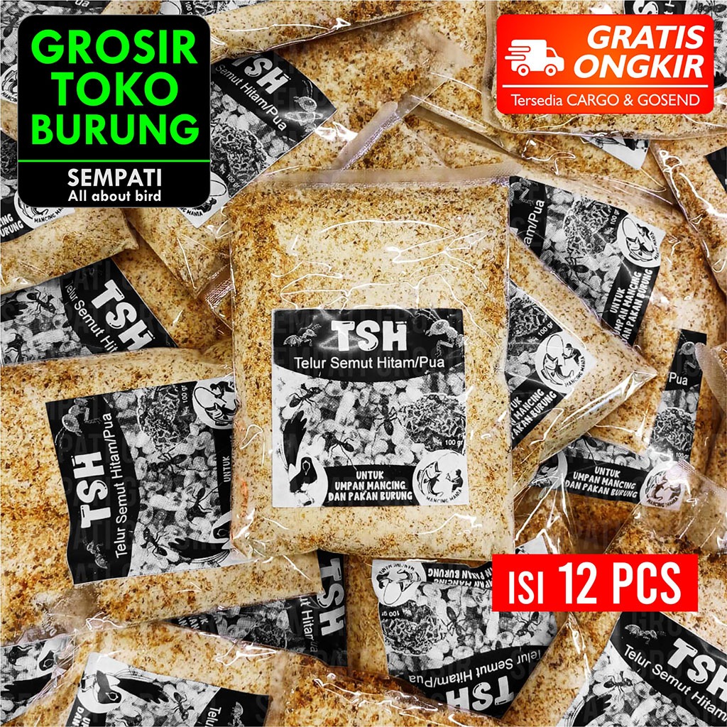 SEMPATI GROSIR TSH Telur Semut Hitam Isi 12 Pcs Pakan Burung Serbuk Telur Pua Poa Pengganti Kroto Pa